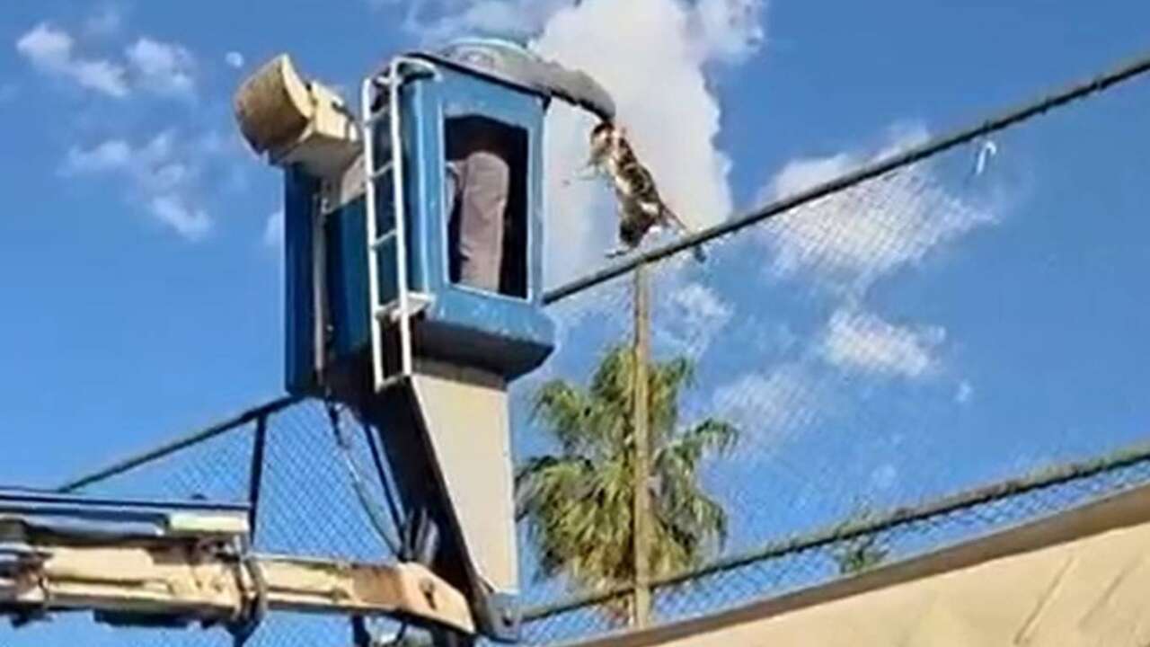 Alanya’da Küçük Can İçin Seferberlik 1